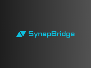 SynapBridge